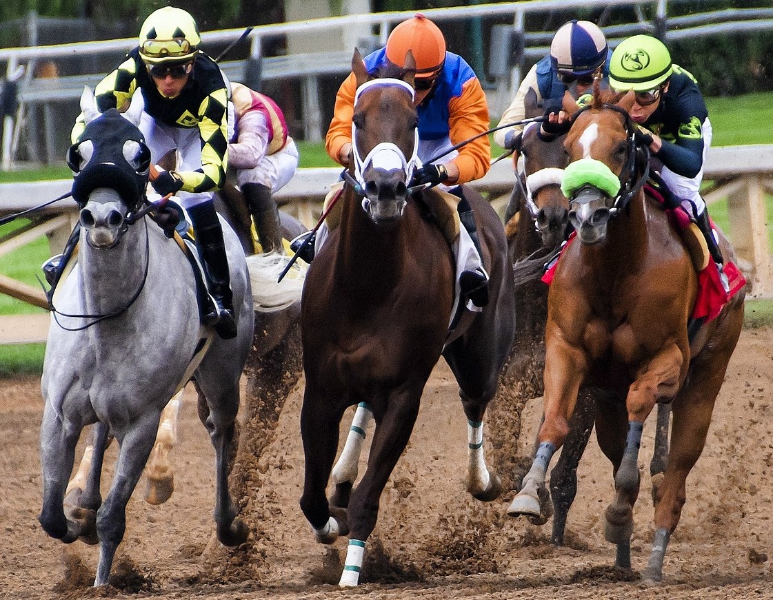 Horse Betting in Canada | Top Horse Betting Sites 2023