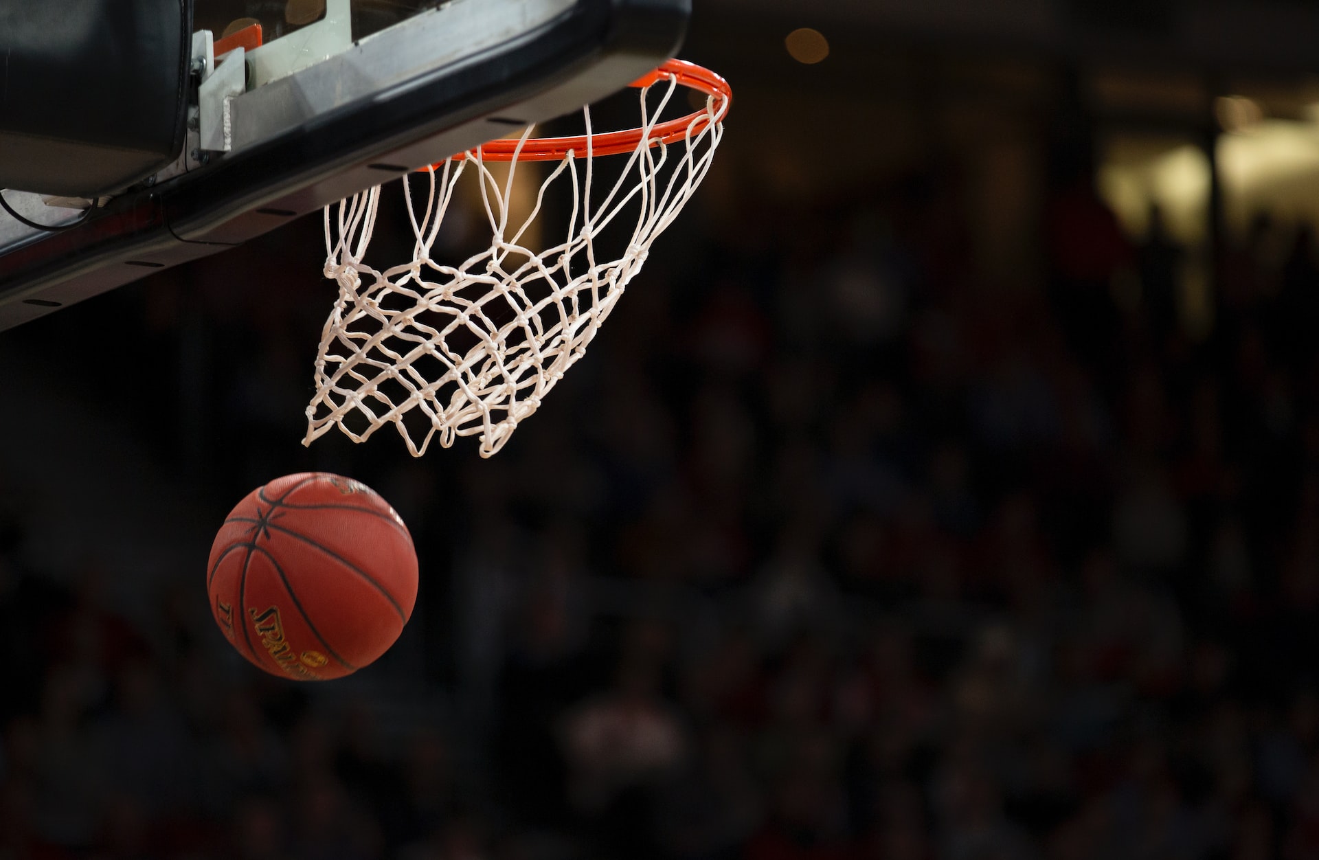 Women's Basketball Betting in Canada | Where to Bet?