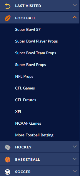 NFL Betting Sites - Best Super Bowl Bets in Canada